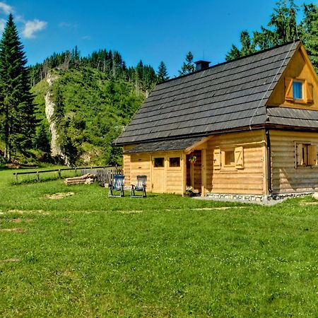Jedroskowe Chatki Witow  Ngoại thất bức ảnh